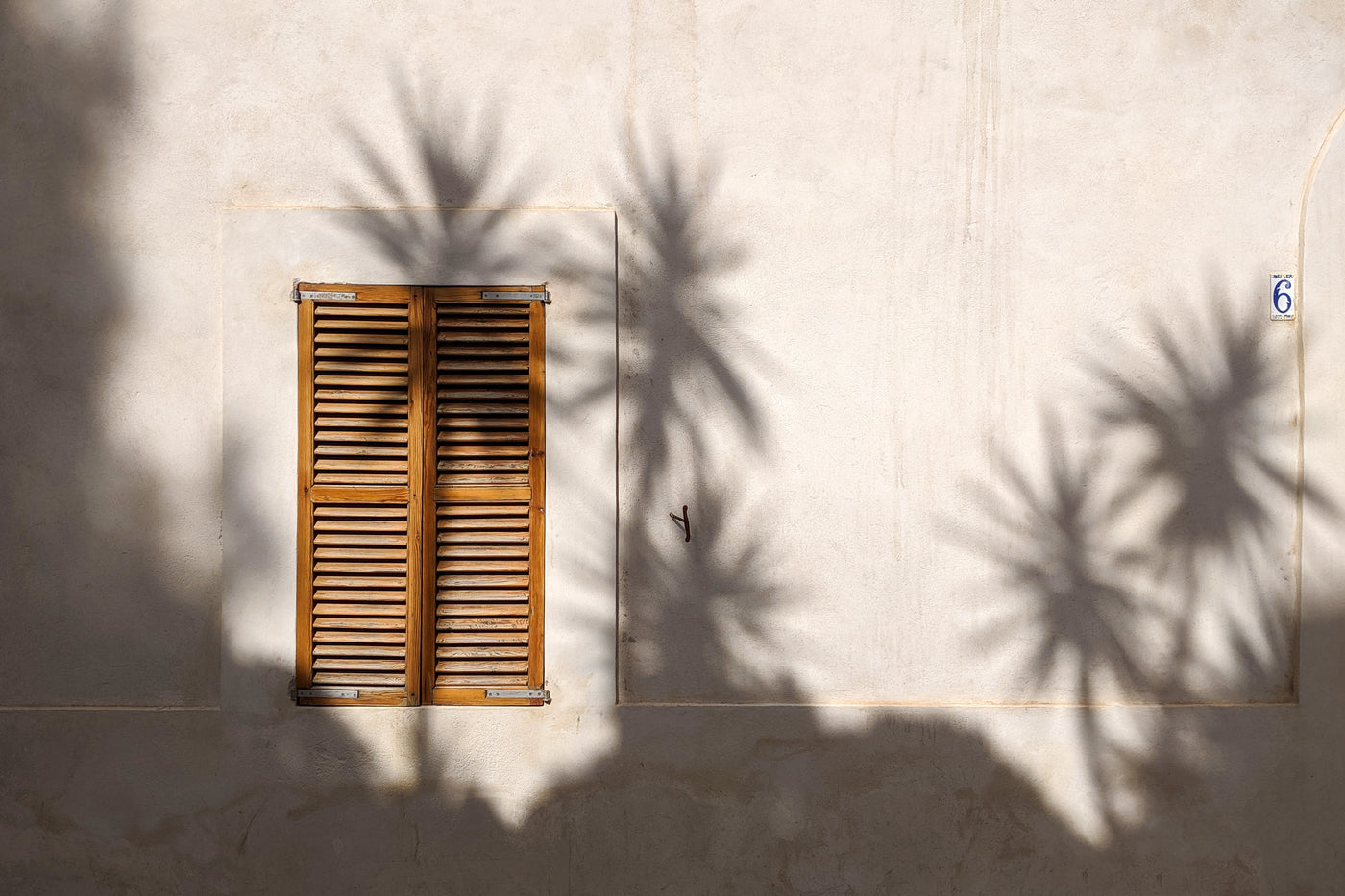 SUMMER HOLIDAYS / store is closed: August 22-28