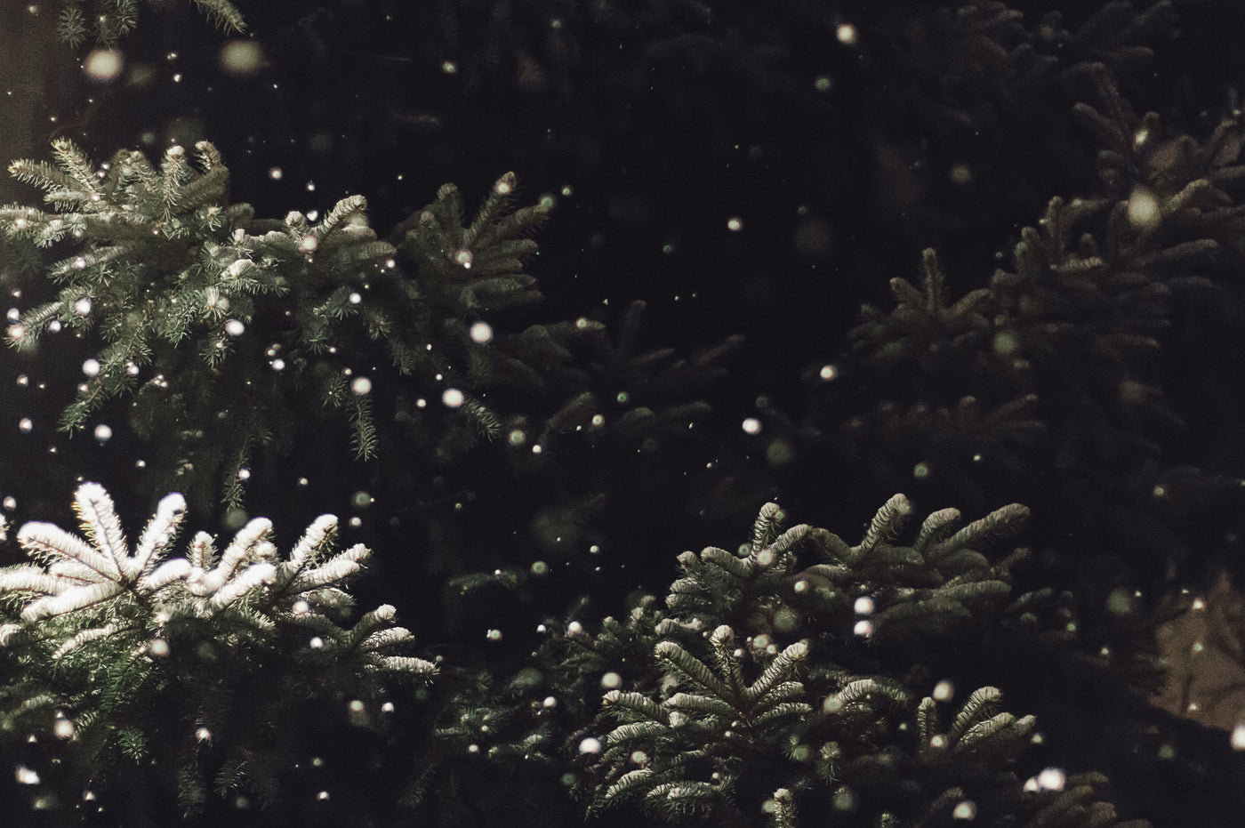 MERRY CHRISTMAS / Öffnungszeiten zwischen den Jahren